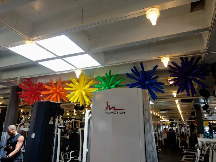 FITNESS SF - Castro Picture 5