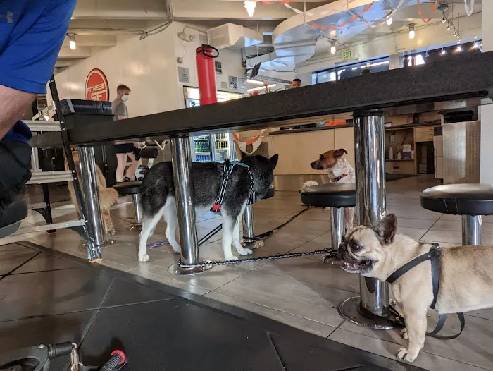 FITNESS SF - Castro Picture 4