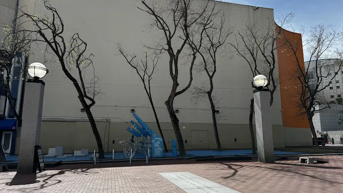 Fitness Court at UN Plaza Picture 6