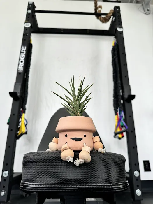 Strong Friends Gym Picture 10