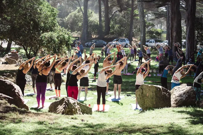 Purusha Yoga & Pilates Studio Picture 6