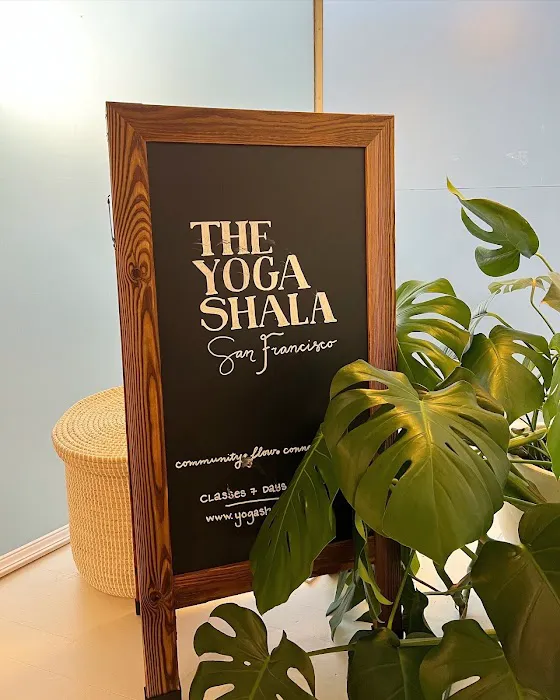 The Yoga Shala SF - Balboa St Picture 1