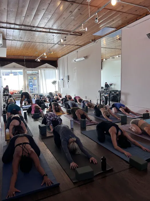 The Yoga Shala SF - Balboa St Picture 2