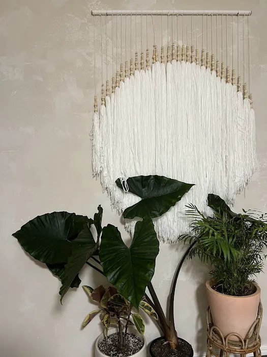 The Yoga Shala SF - Balboa St Picture 3