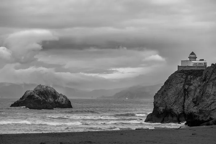 MuscleBeachSF Gym San Francisco fka FitClubSF Picture 7