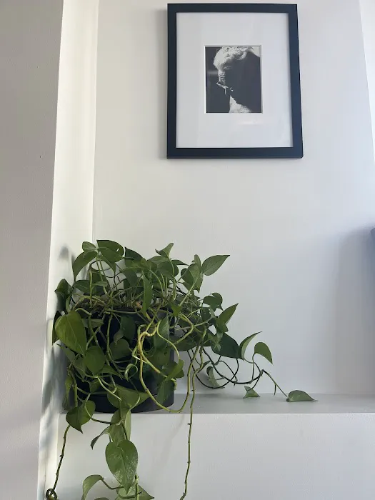 NICE Pilates Picture 8