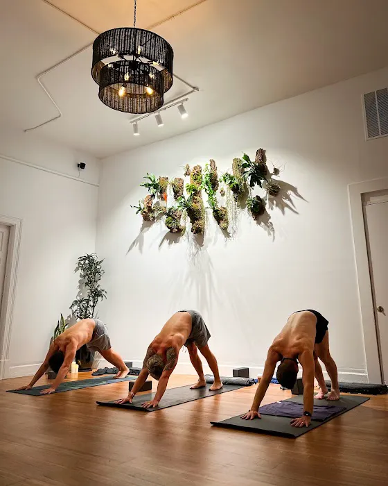 HAUM Studios - Haight Ashbury Picture 7