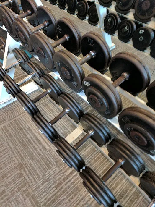 Live Fit Gym • Cole Valley Picture 4