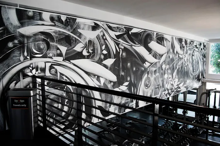 Live Fit Gym • Cole Valley Picture 6