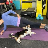 N Motion Fitness Studio For Women ico