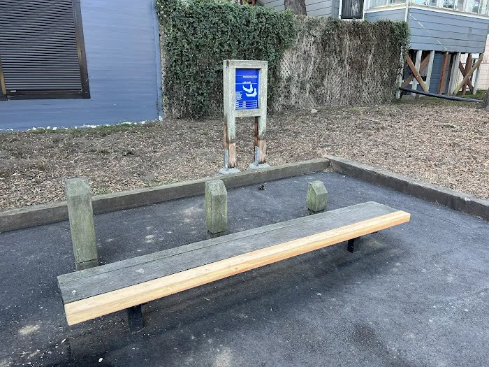 Street Workout Park Picture 2