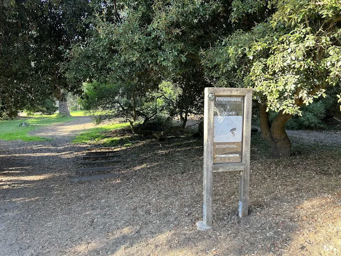 Street Workout Park Picture 7