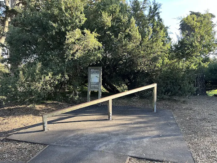 Street Workout Park Picture 5