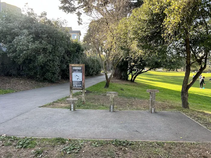 Street Workout Park Picture 6