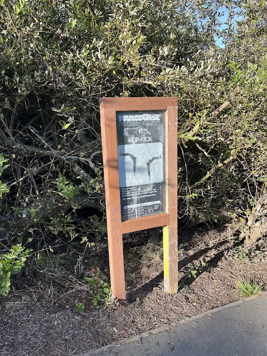 Street Workout Park Picture 8