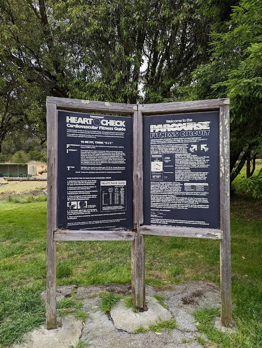 Street Workout Park Picture 9