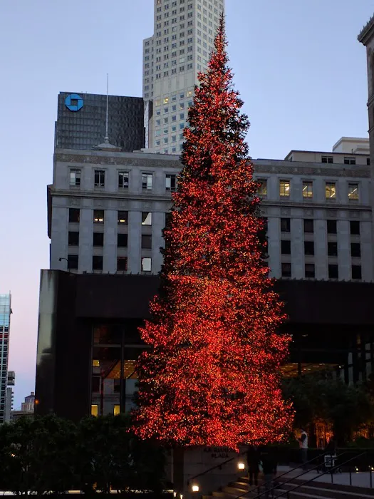 Bay Club Financial District Picture 7