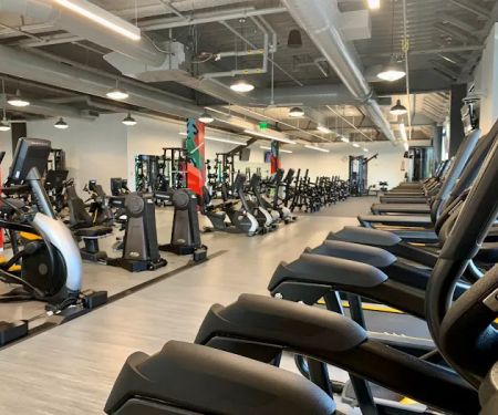 Active Wellness