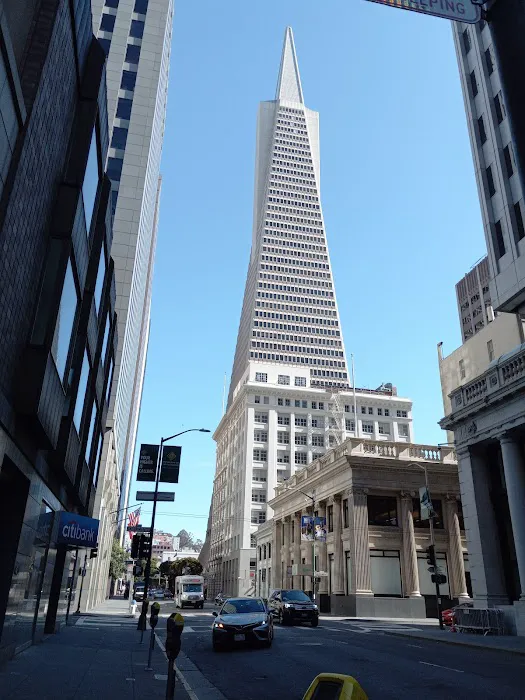 Planet Fitness Picture 7