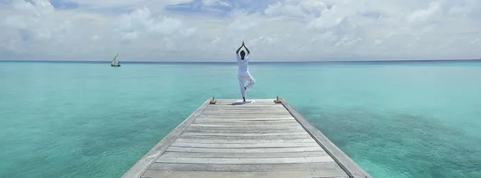 Moksha Life Center Picture 4