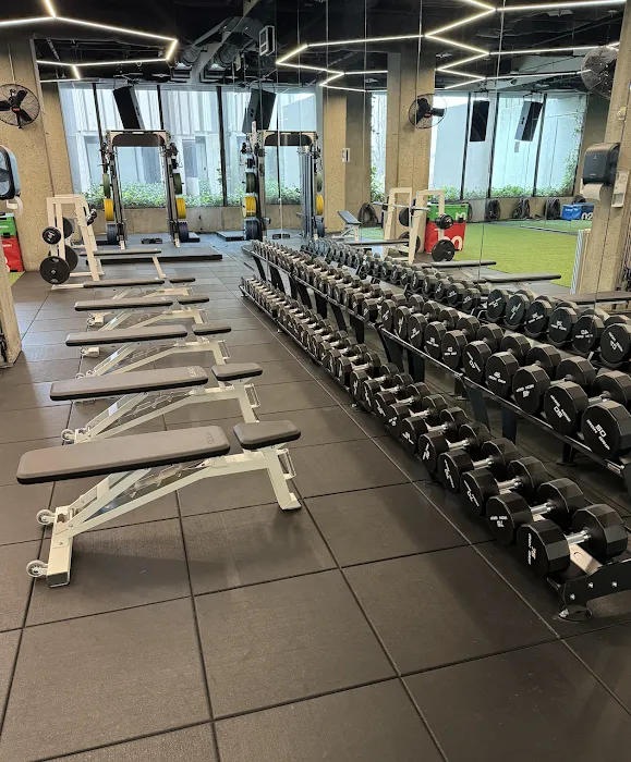 FITNESS SF - Embarcadero Picture 10