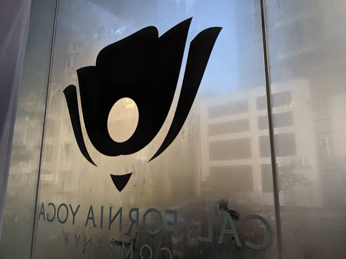 Body Tonic SF Picture 7