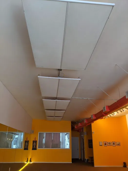 Body Tonic SF Picture 5