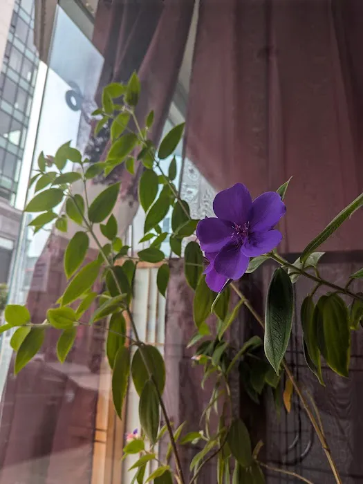 Body Tonic SF Picture 2