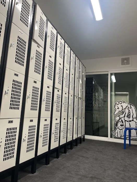 Funky Door Yoga - San Francisco Picture 6