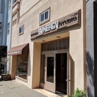 Synergy Fitness Studio ico