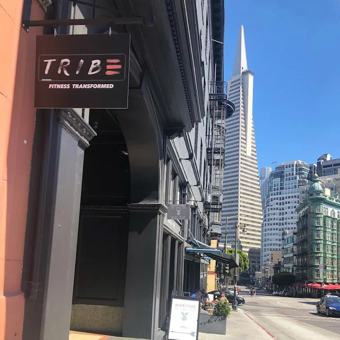 Tribe Fitness, Yoga & Coaching Picture 3