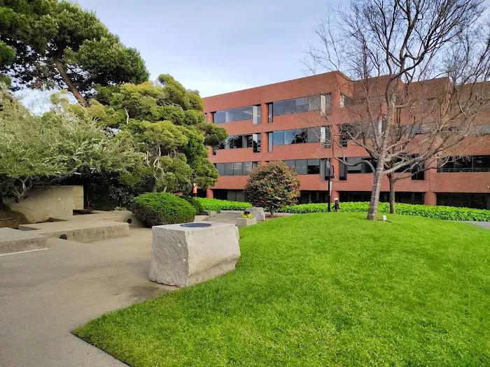 Levi's Park Picture 10