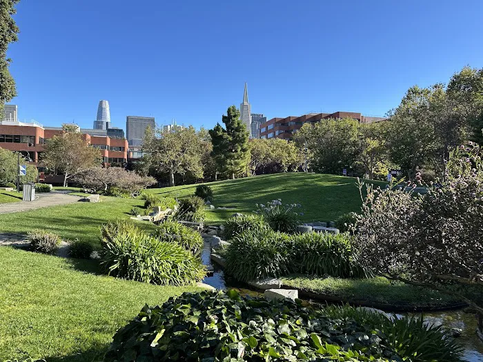 Levi's Park Picture 7