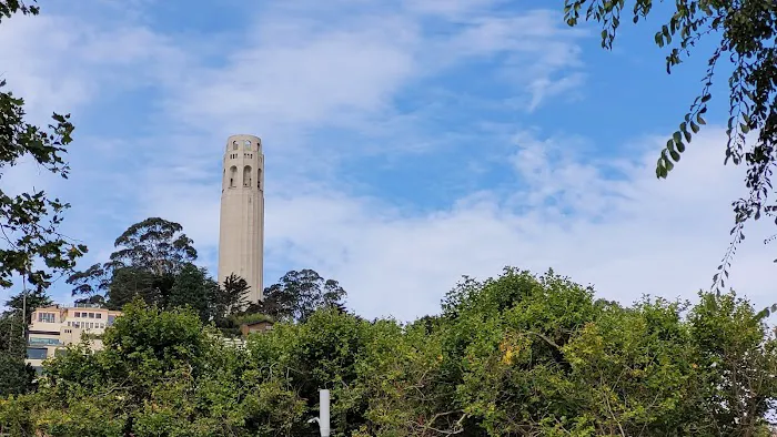 Levi's Park Picture 3