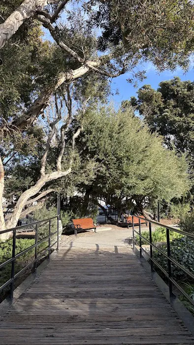 Levi's Park Picture 9