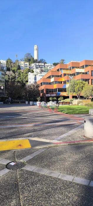 Levi's Park Picture 1