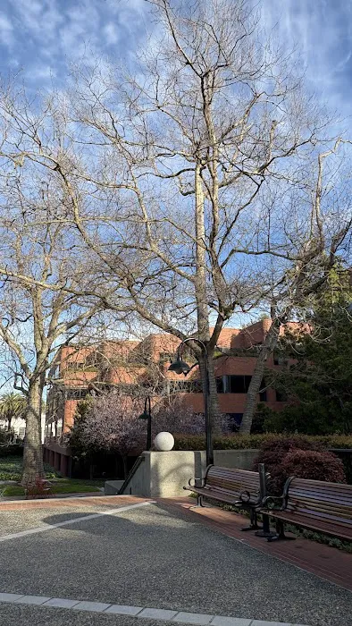 Levi's Park Picture 4