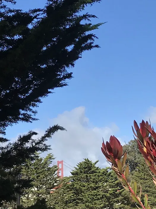 Baptiste Yoga San Francisco Picture 7