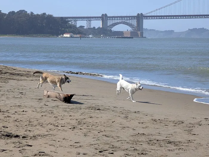 Presidio Community YMCA Picture 9