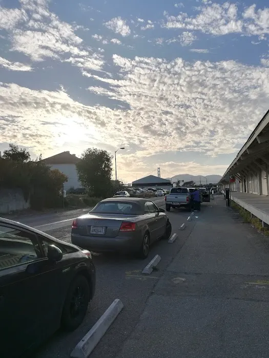 Presidio Community YMCA - Letterman Pool Picture 8