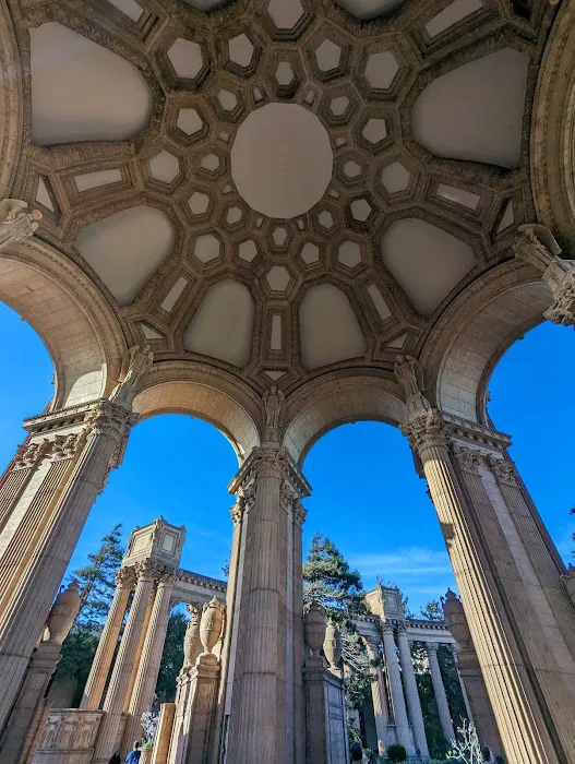 Presidio Community YMCA - Letterman Pool Picture 10