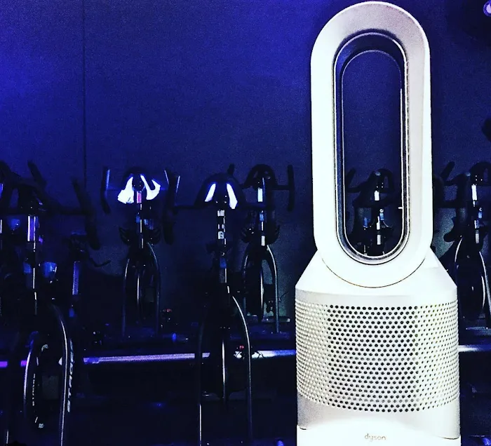 BODYROK Cow Hollow Picture 8