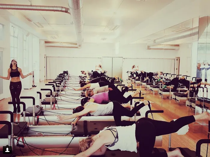 BODYROK Cow Hollow Picture 10