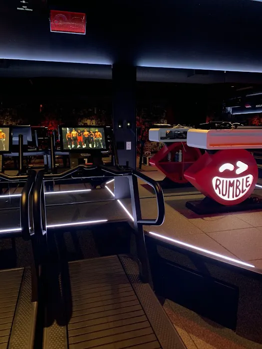 Rumble Boxing Picture 2