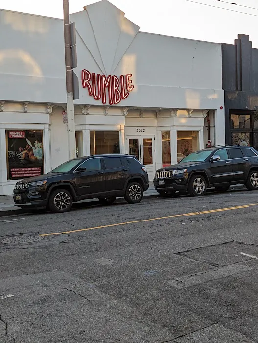 Rumble Boxing Picture 7