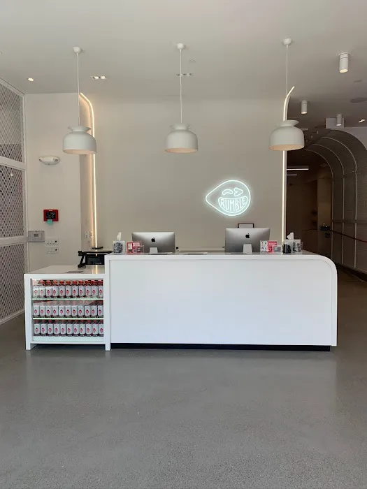 Rumble Boxing Picture 9