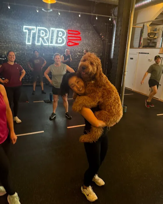 Tribe Fitness Personal Training Picture 8
