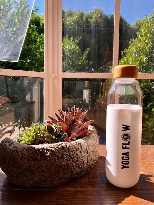 Yoga Flow SF - Union Picture 10