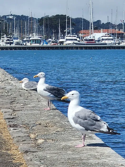Marina Green Fitness Court Picture 6