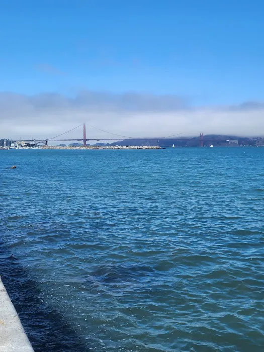 Marina Green Fitness Court Picture 4